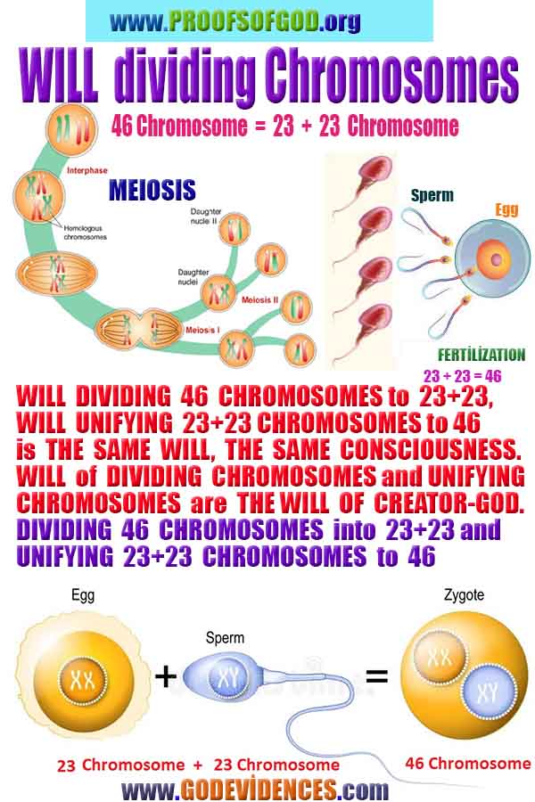 evidences of god, proofs of god 