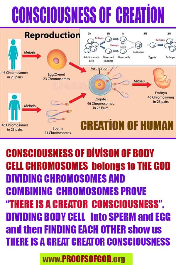 evidences of god, proofs of god 