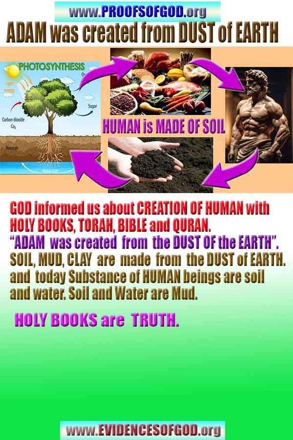 evidences of god, proofs of god, god is real 