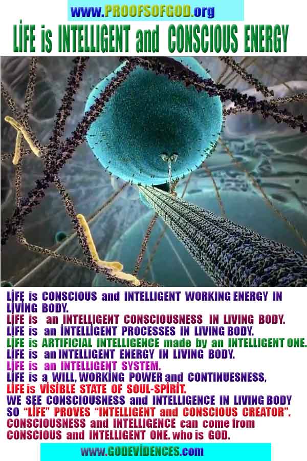 evidences of god, proofs of god, god is real, god exists,  God is everywhere