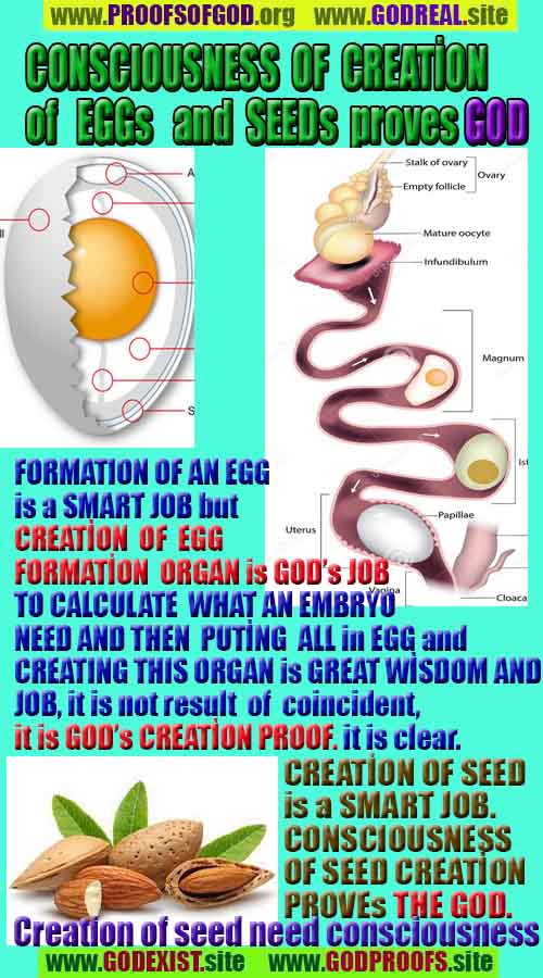evidences of god, proofs of god, god is real, god exists 
