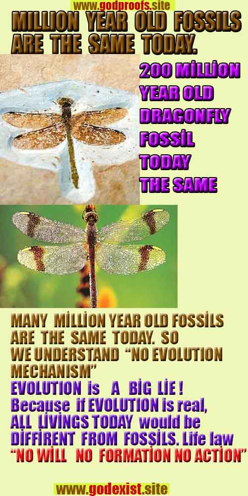 evidences of god, proofs of god, god is real, god exists, no where to escape from GOD 