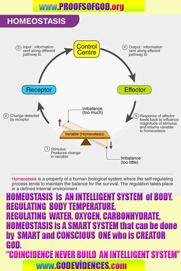 evidences of god, proofs of god, god is real, god exists, no where to escape from GOD 