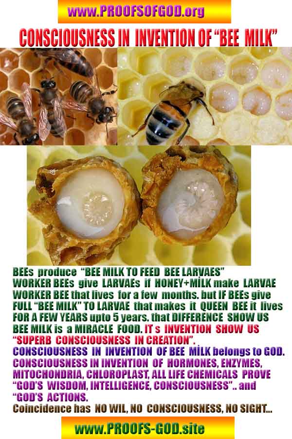 evidences of god, proofs of god, god is real, god exists 