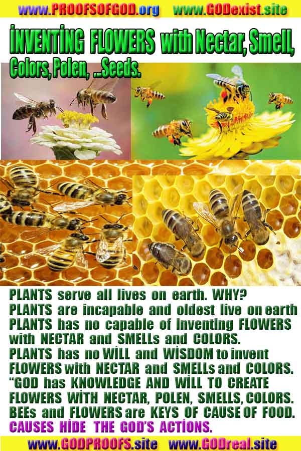 evidences of god, god exists, no where to escape from GOD 